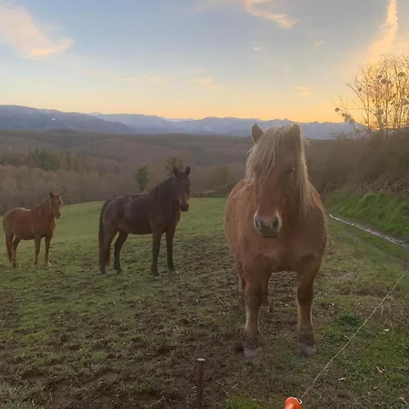 La Tente Tipi Au Ranch Du Bonheur אוהל מפואר *